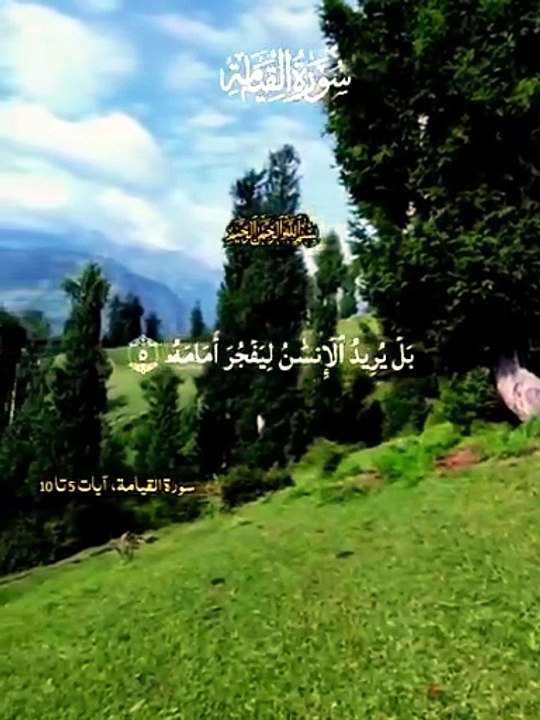 بل يريد الانسان ليفجر امامه