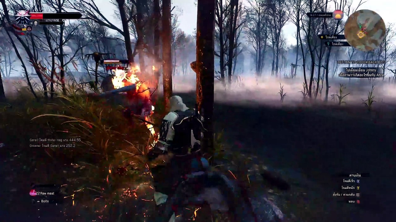 THE WITCHER 3 GAMEPLAY PART 36
