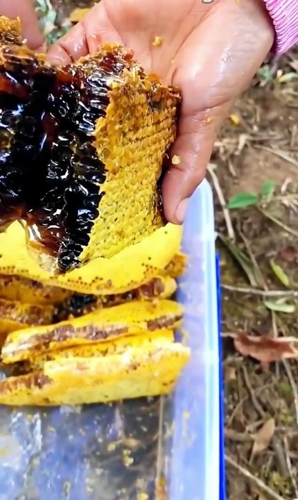 Honeycomb harvesting