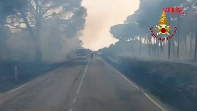 Incendio in Sardegna, a fuoco la pineta ad Aglientu: continua il lavoro dei vigili del fuoco