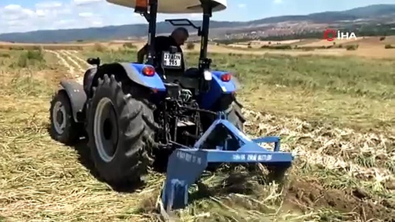 Türkiye'nin eşsiz beyaz altını için kavurucu sıcakta zor mesai