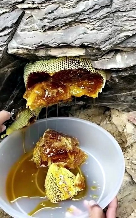 Honey