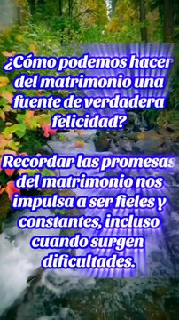 Reflexiones Bíblicas