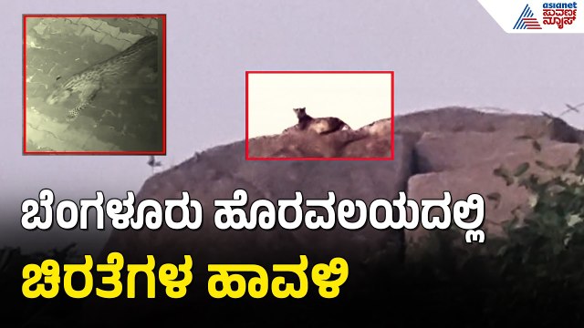 ಬ್ಯಾಡರಹಳ್ಳಿ ಬಳಿಕ ಬೆಂಗಳೂರು ಹೊರವಲಯದಲ್ಲಿ ಚಿರತೆ ಪ್ರತ್ಯಕ್ಷ | Leopard Spotted In Nelamangala | Bengaluru