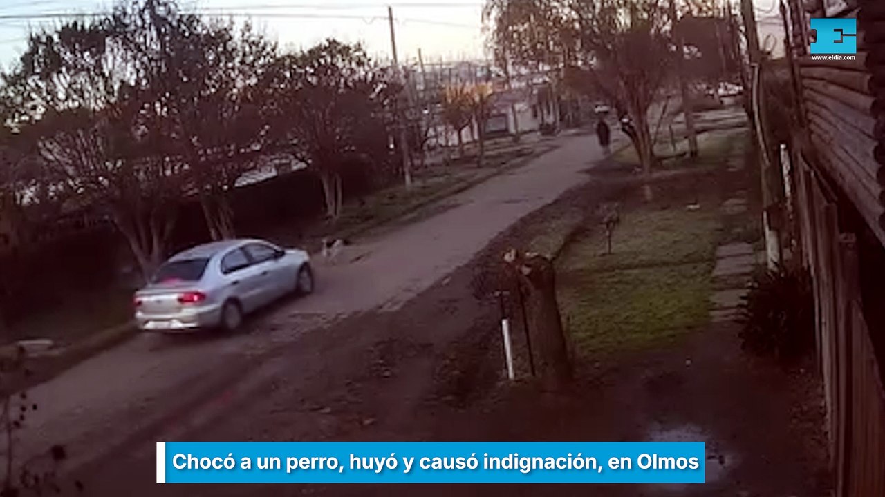 Chocó a un perro, huyó y causó indignación, en Olmos