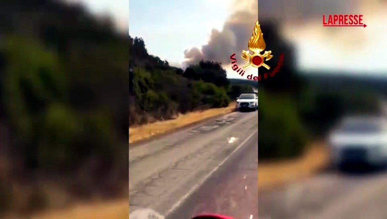 Incendio in Sardegna, a fuoco la pineta ad Aglientu: continua il lavoro dei vigili del fuoco