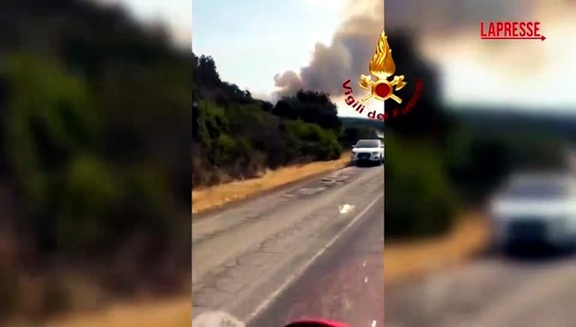 Incendio in Sardegna, a fuoco la pineta ad Aglientu: continua il lavoro dei vigili del fuoco