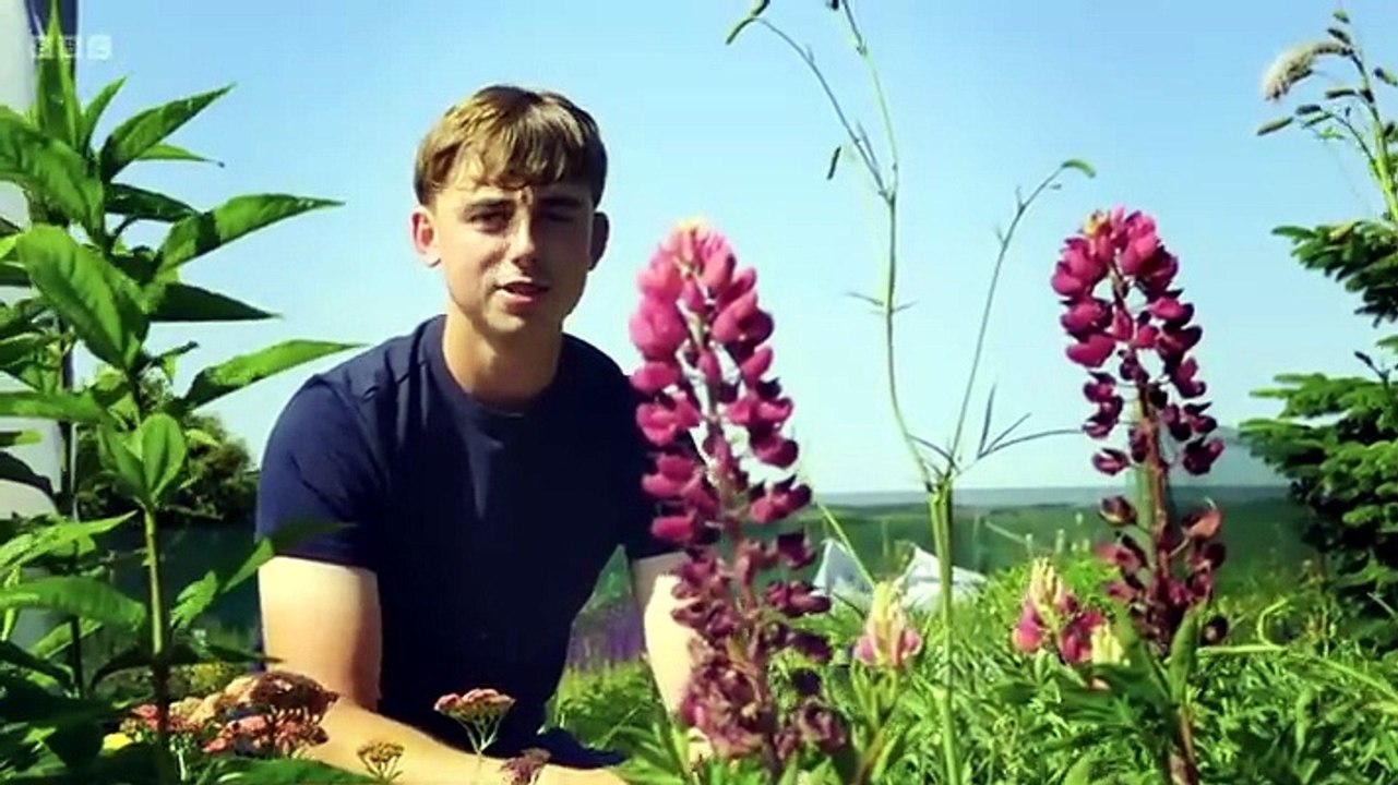 Gardeners' World Season 59 Episode 17