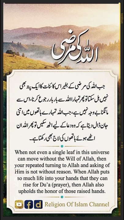 *اللّٰہ کی مرضی | Allah Ki Marzi | Trust Allah’s Plan | Tawakkul | Islamic Short Reminder | Religion Of Islam Channel*