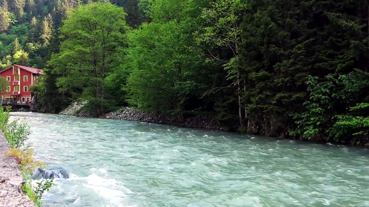 Méditation Profonde _ Musique Relaxante pour Se...