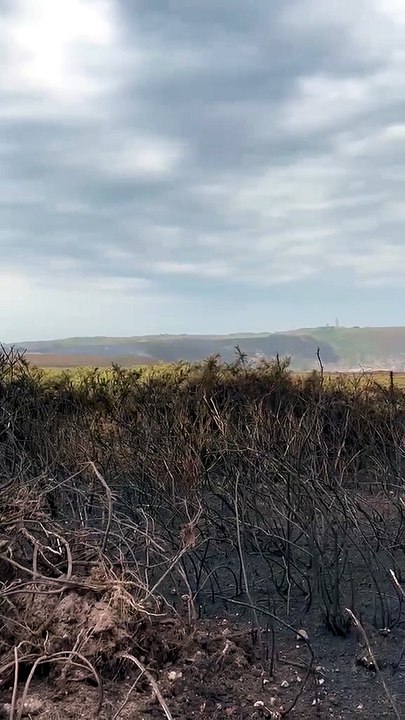 Incendie au cap Fréhel, 38 hectares de landes ont brûlé