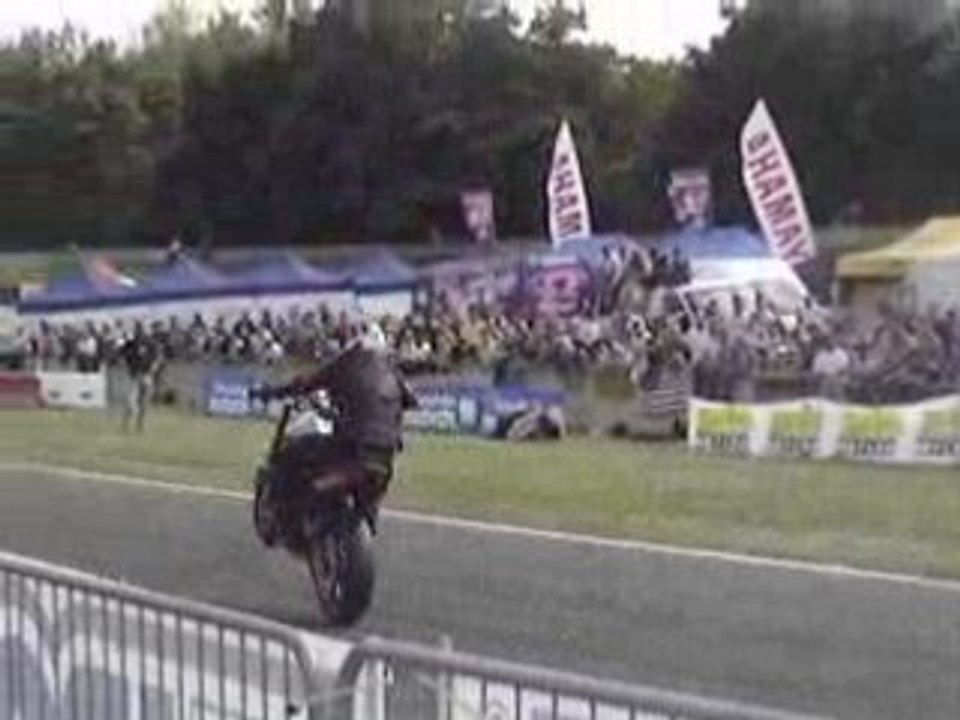 29 - SBS 2008 zoltan er6