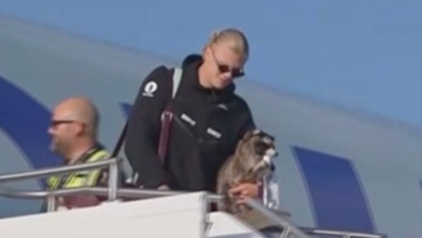 Erling Haaland brings $750 stuffed raccoon back to Norway after World Cup exit