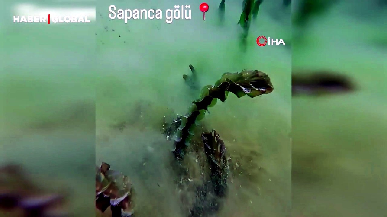 Sapanca Gölü'nün dibinde şaşırtan keşif: Pamuksu oluşum merak uyandırdı