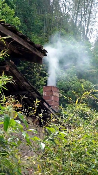 Living with Nature: Creating Simple Wonders in the Wilderness 🌿🔨