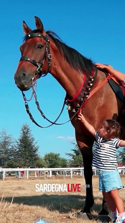 Palio di Fonni. Quarant'anni di storia, identità e passione | Appuntamento il 2 agosto