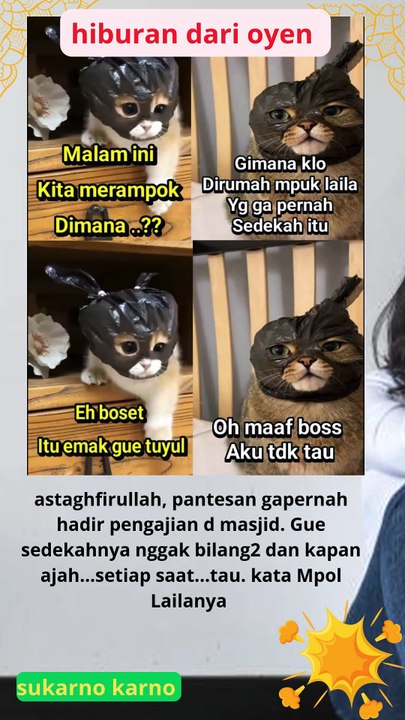kucing yang menjadi superhero minggu ini  #berita