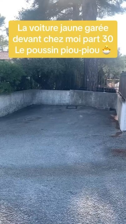La voiture jaune 🚕 part 30 #smilyjayce #potdemoutarde #voiture #jaune #agogo