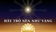 Hãy Trở Nên Như Vàng