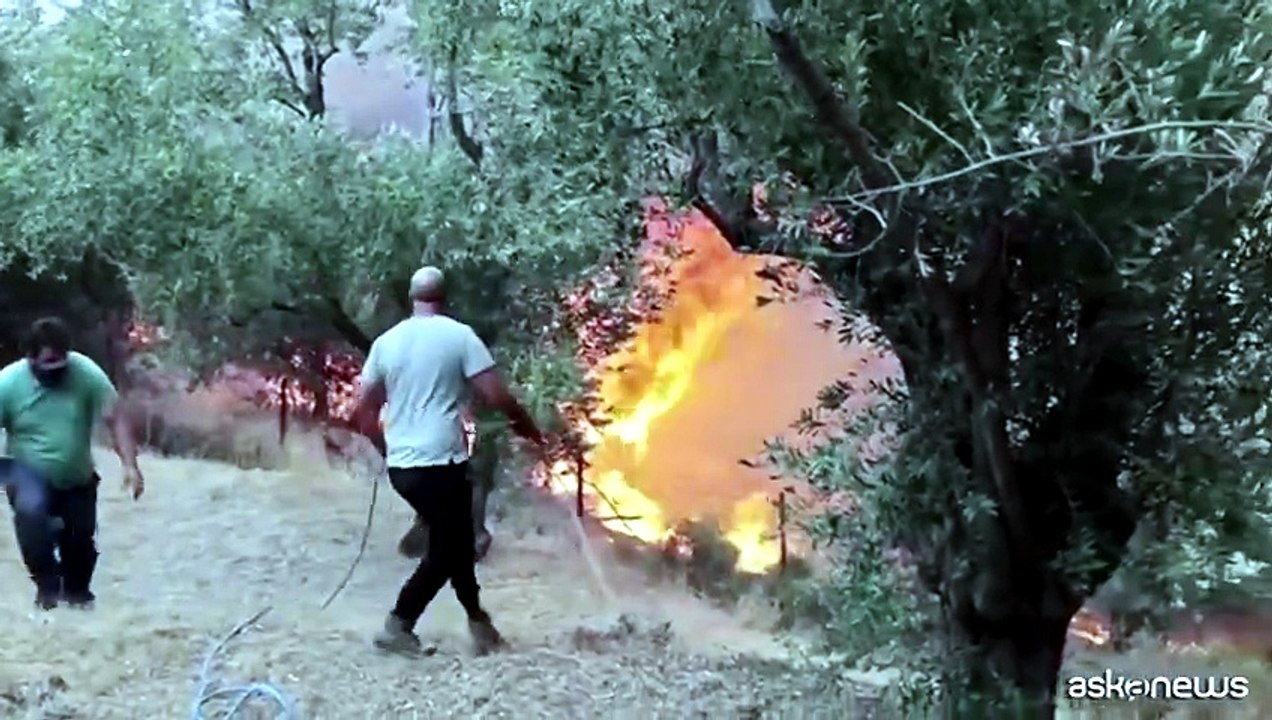 Tre vigili del fuoco sono morti combattendo gli incendi in Grecia ...