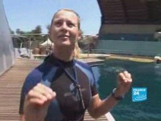 Danse aquatique avec les orques