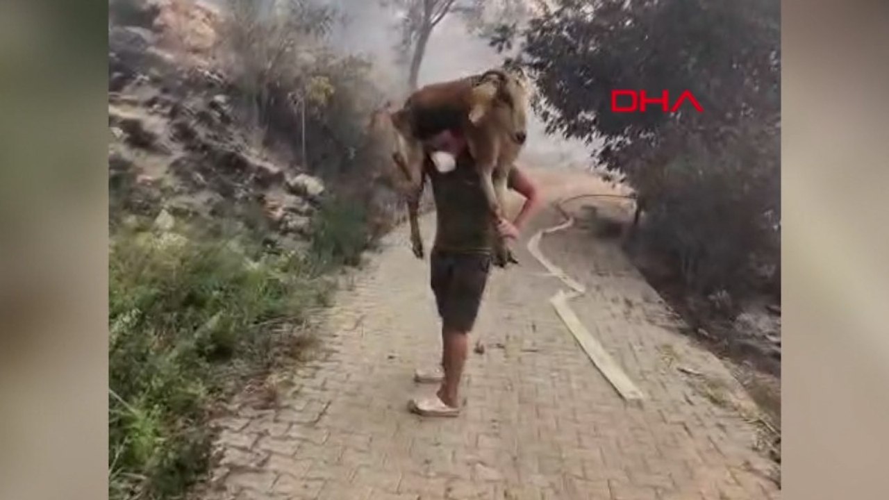 Yangından keçisini böyle kurtardı