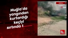 Muğla'da yangından kurtardığı keçiyi sırtında taşıdı