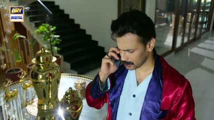 Mirza Ki Heer | Ep 30 | Hina Afridi | Ali Raza | Zahid Ahmed | 30 July 2026 | ARY Digital