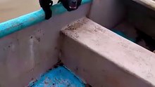 Kind fishermen rescue a helpless drowning monkey rescue animals monkeyrescue