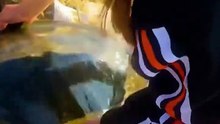 Her little ’thank you’ wave after they set her free 🥹🐢 shorts rescue