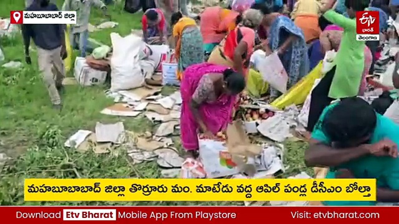 బండి తిరగబడింది - ఆపిల్​ పండ్ల స్టాక్​ మాయమైంది