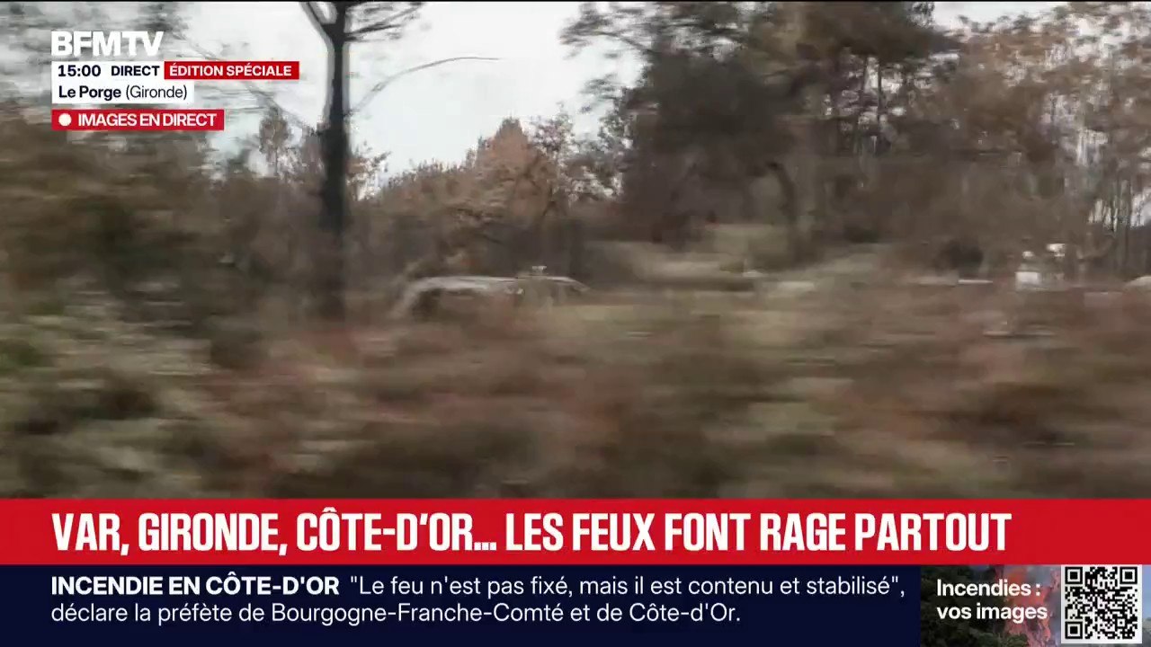 Incendie en Gironde: au Porge, le paysage calciné d'une avenue victime des flammes