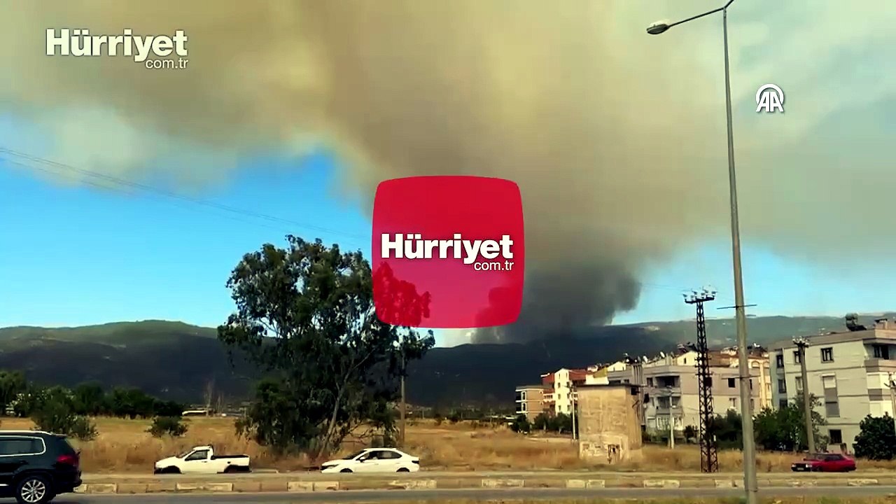 Aydın'da ormanlık alanda yangın çıktı