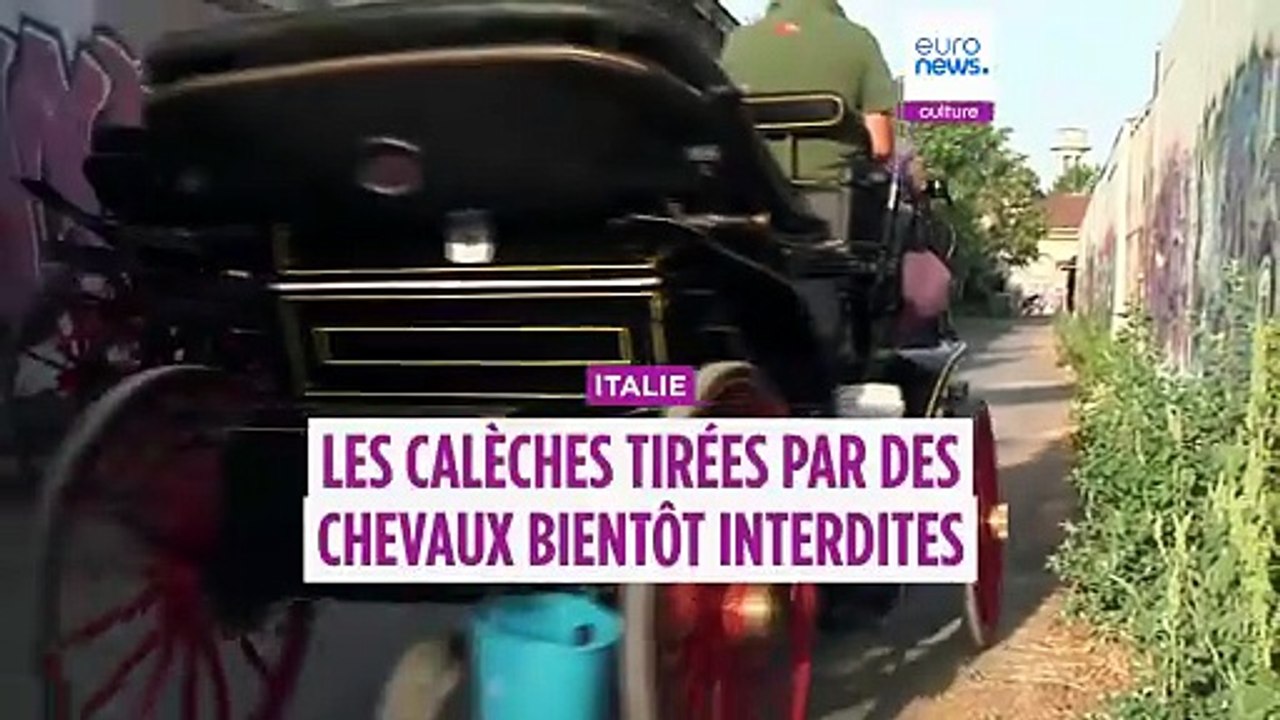 Italie: une loi veut interdire les calèches tou...