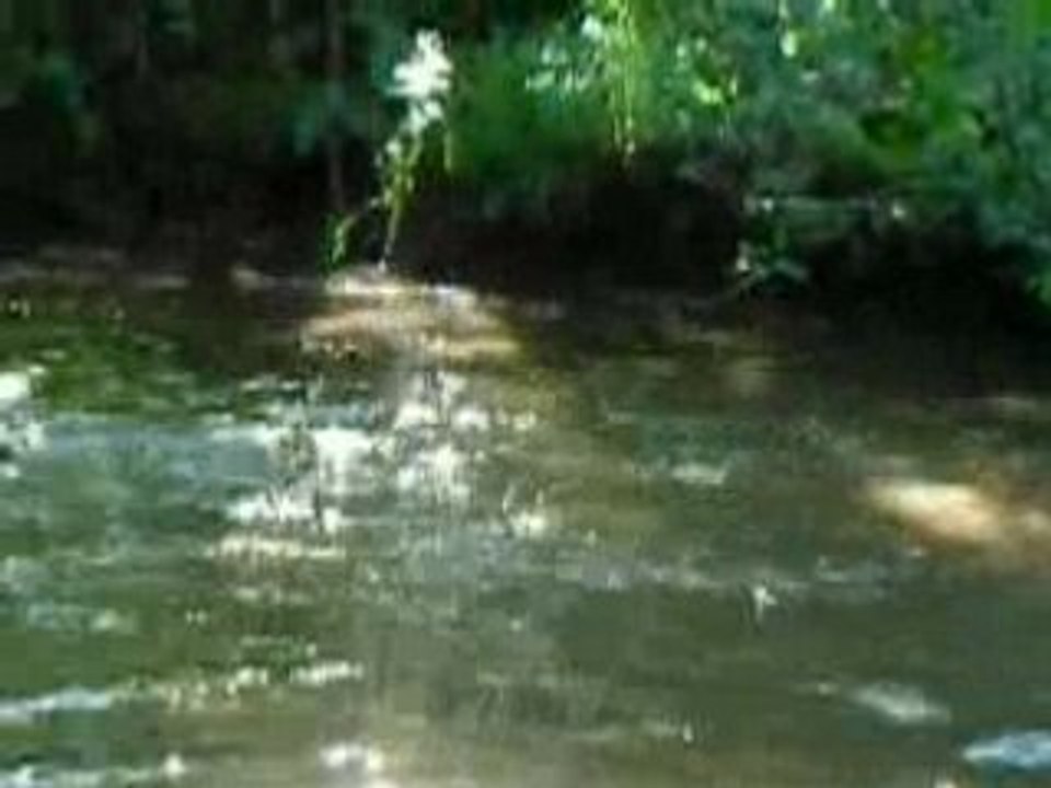 Baignade dans la foret Vol.13