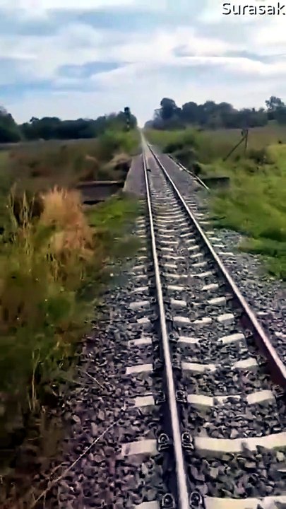 Un conducteur de train sauve une tortue coincée sur la voie ferrée
