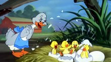 Tom And Jerry - 077 - Just Ducky (1953)