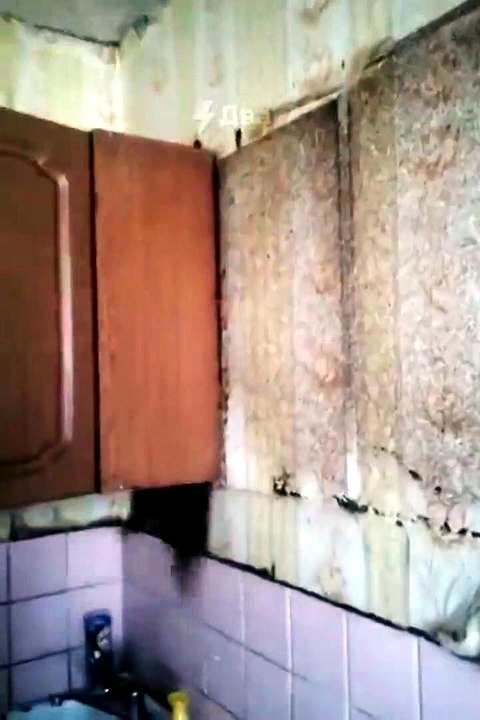 Ce qui se cache derrière ce meuble est flippant... invasion d'insectes