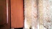 Ce qui se cache derrière ce meuble est flippant... invasion d'insectes