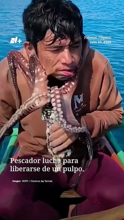 Influencer y pulpo