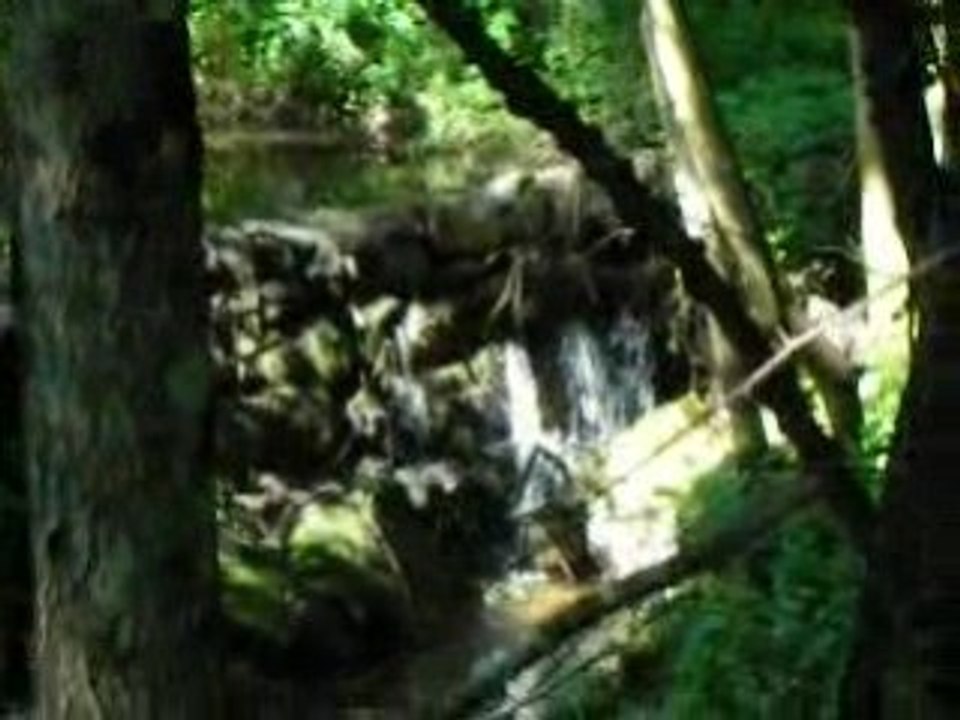 Petite cascade dans la foret vol.2