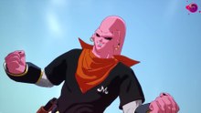 Insane-Dragon-Ball-Fusions