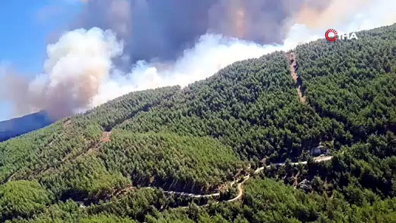 Aydın Çine’deki orman yangınına müdahale sürüyor