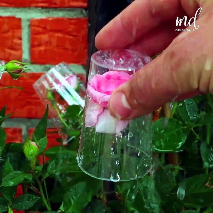 Taking DIY to another level with these projects! 😮