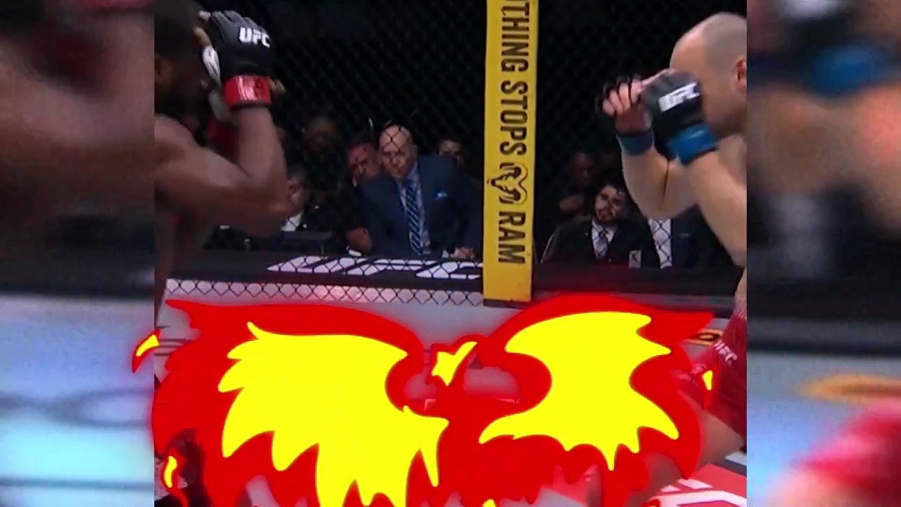 UFC FIGHT