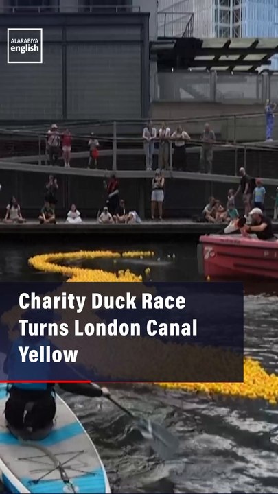 Charity Duck Race Turns London Canal Yellow