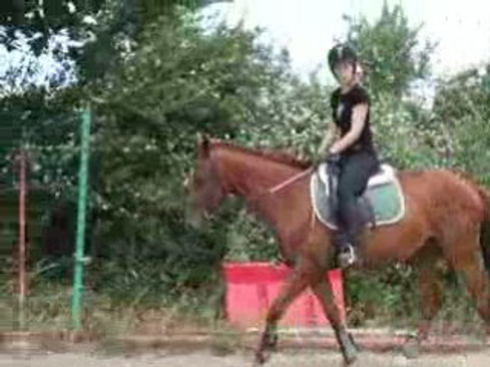 DSCF2326