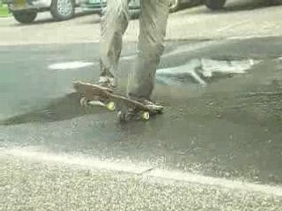 Skate et journée 081