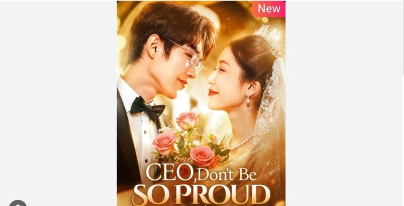 CEO Dont Be So Proud