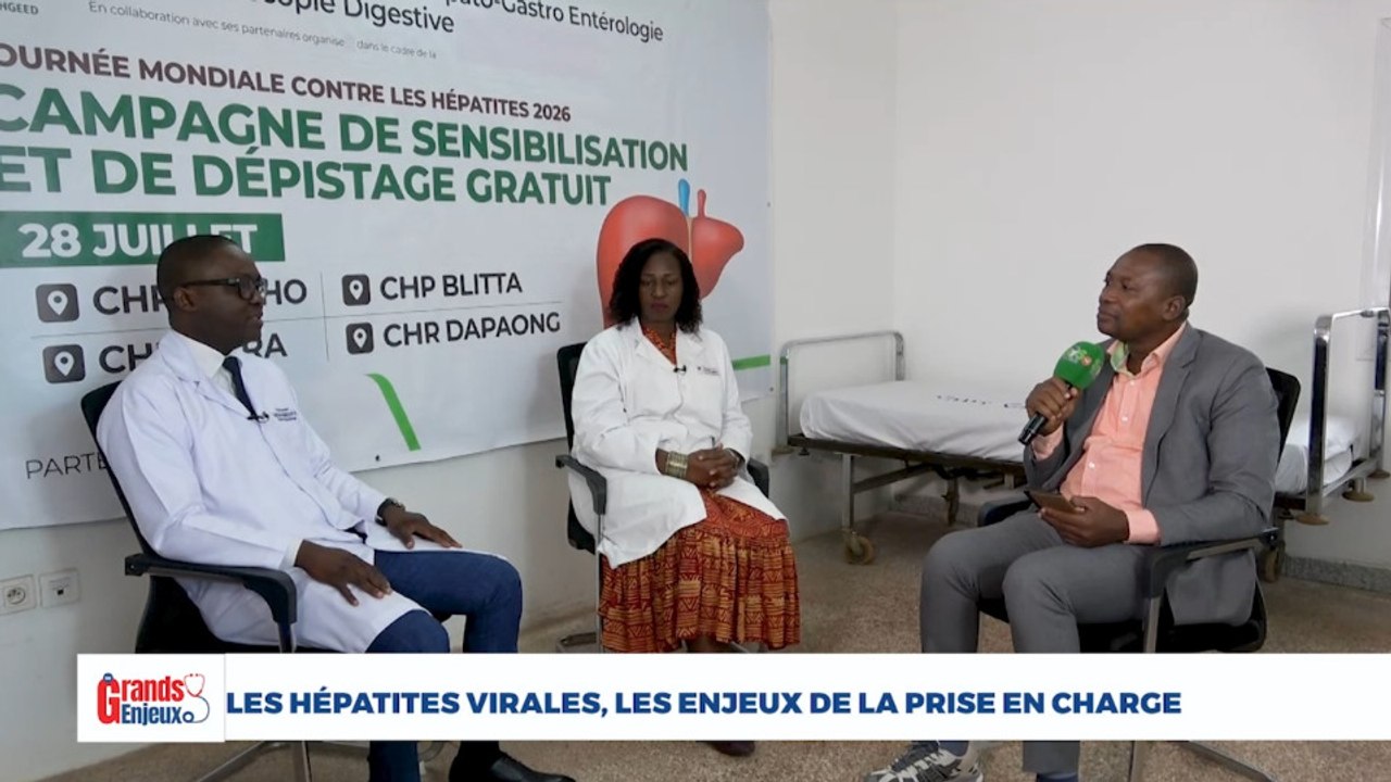LES HÉPATITE VIRALES, LES ENJEUX DE LA PRISE EN CHARGE.